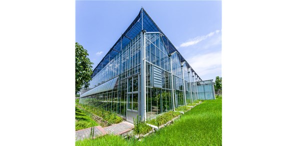 家裝門(mén)窗為什么用夾膠玻璃？